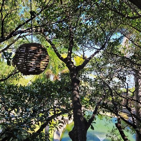 Nido Ecoluxury - Villa San Luis Boutique San Luis Soyatlán Eksteriør bilde